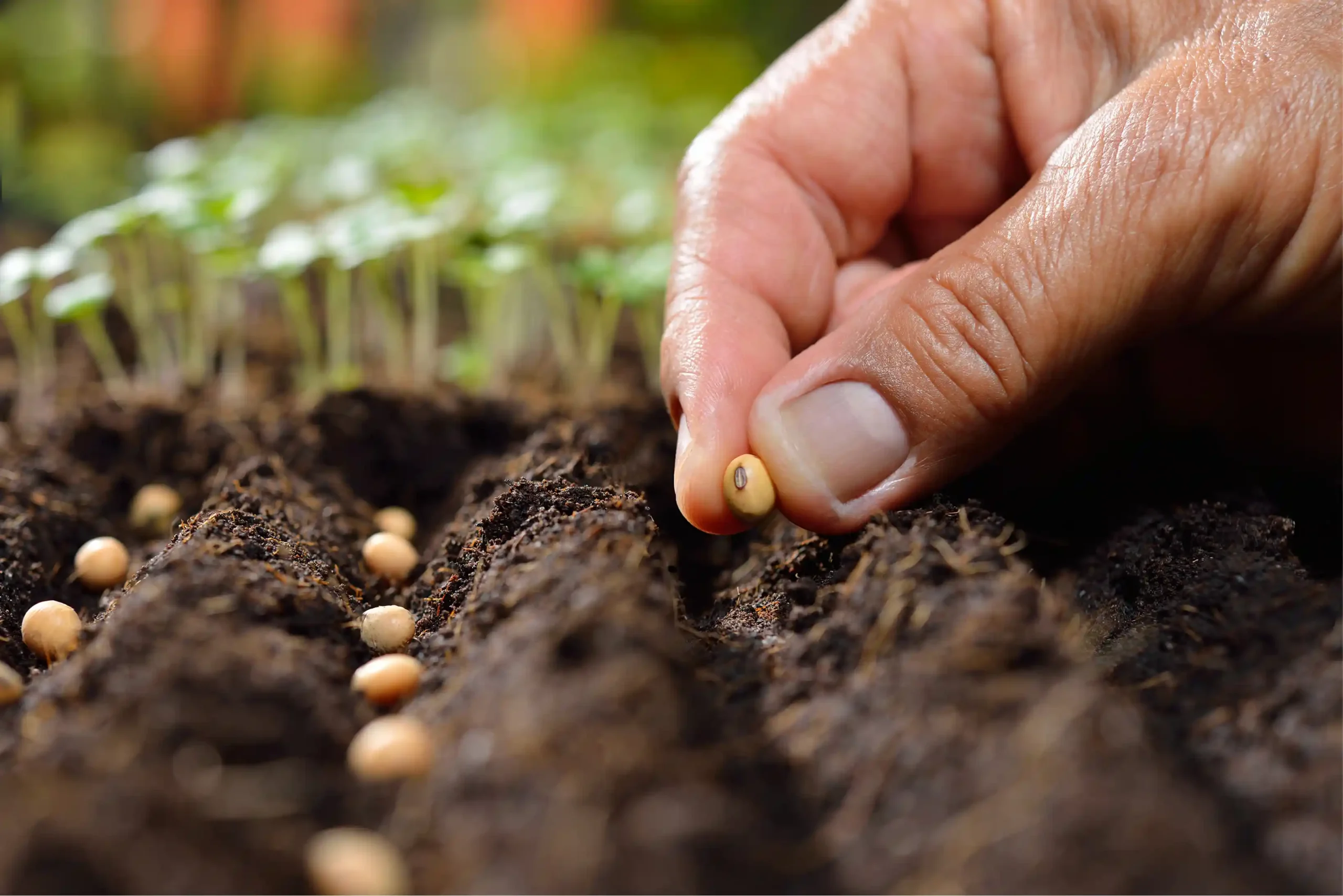 Welcome to the ResetOne Blog: Where Longevity Comes to Life